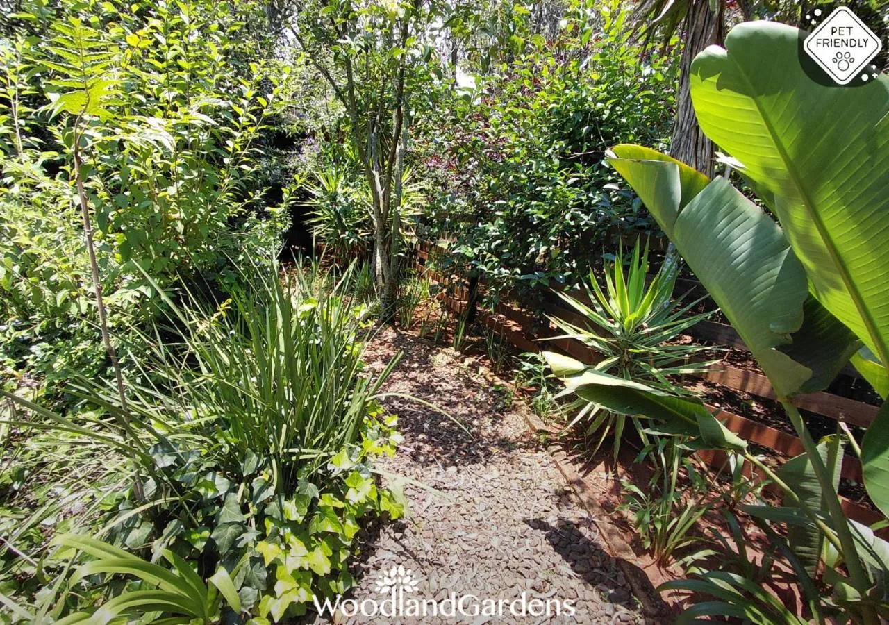 Garden in Woodland Gardens Self catering Pet Friendly Lodge