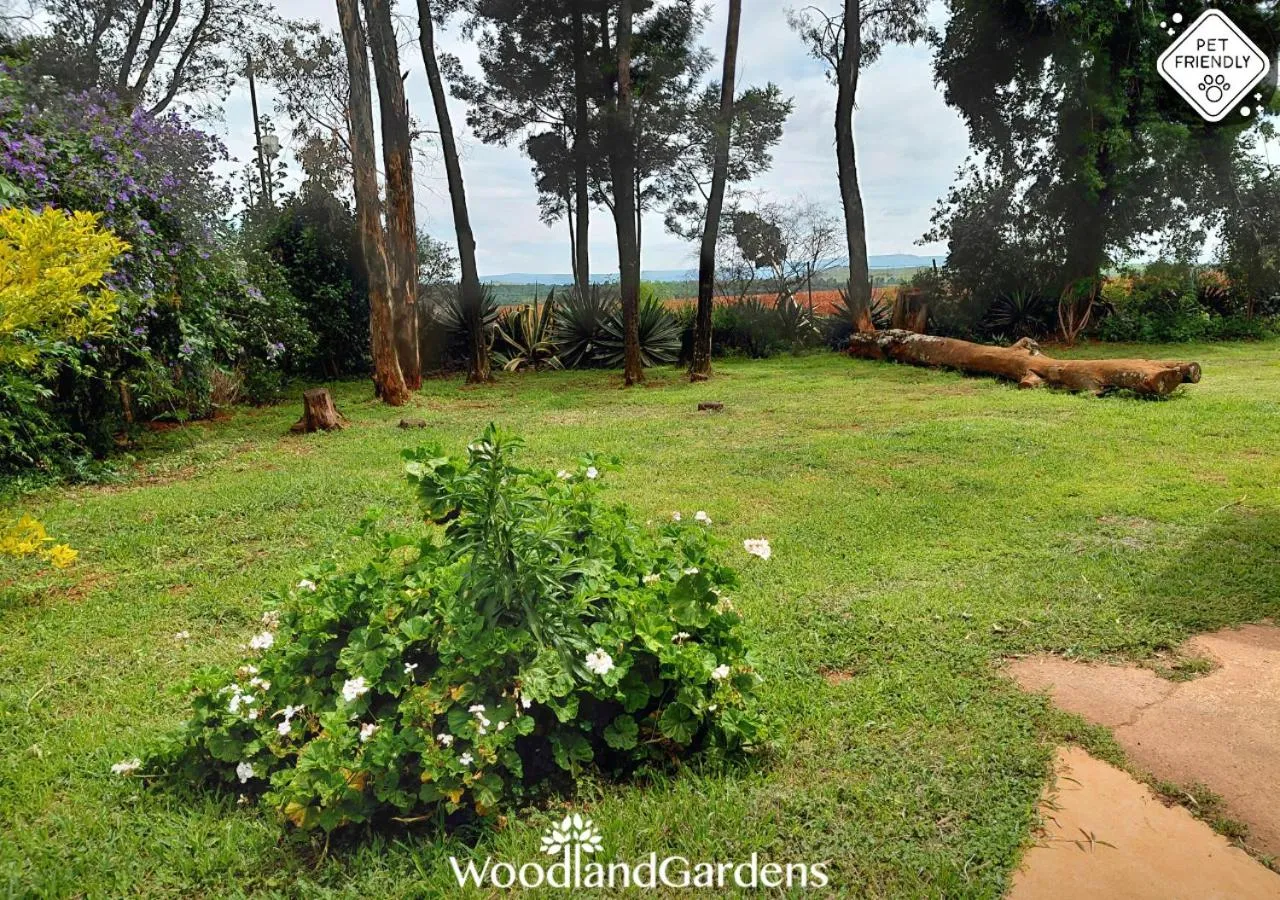 Garden in Woodland Gardens Self catering Pet Friendly Lodge