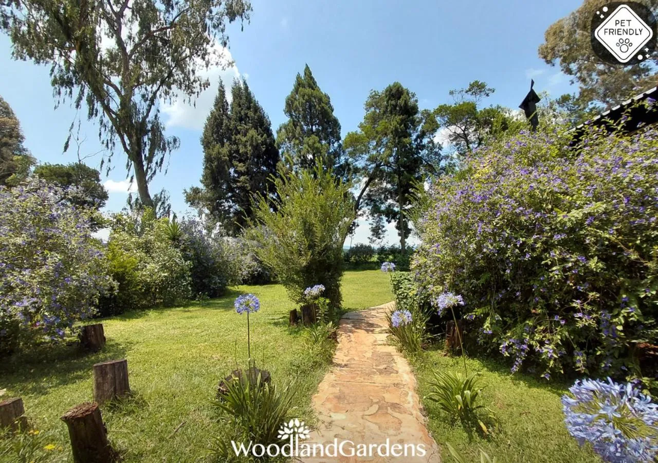 Garden in Woodland Gardens Self catering Pet Friendly Lodge