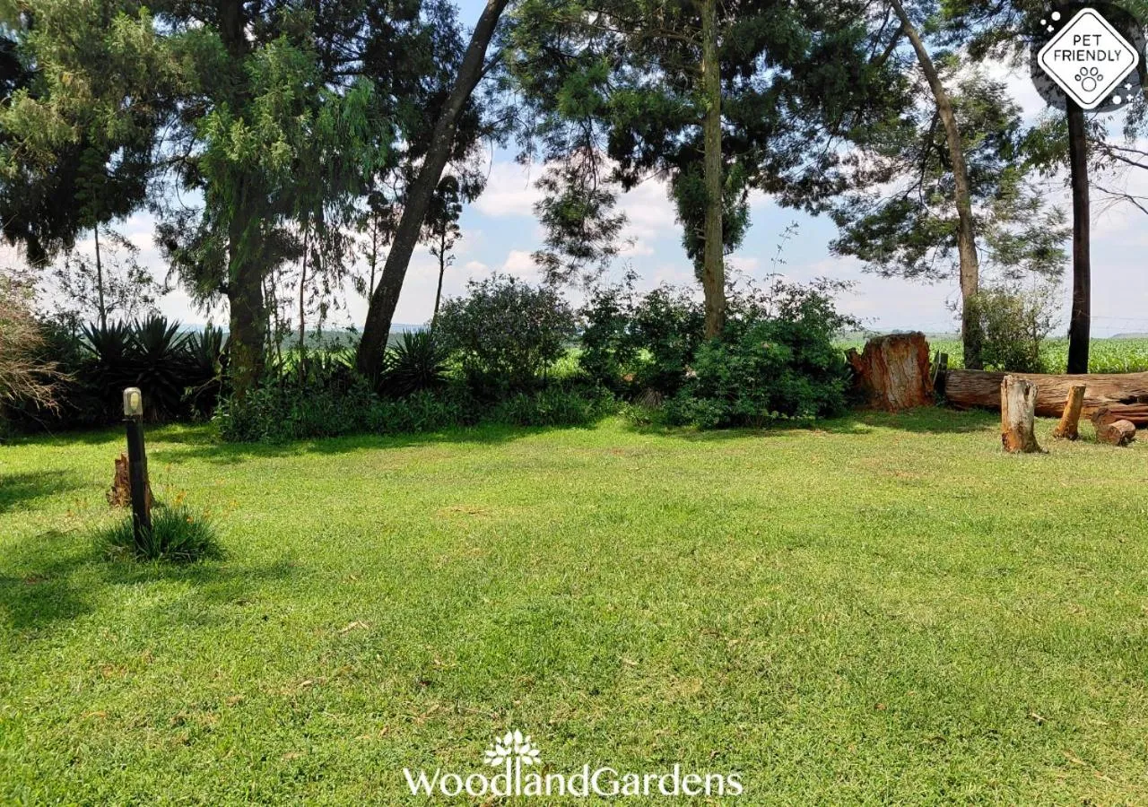 Garden in Woodland Gardens Self catering Pet Friendly Lodge