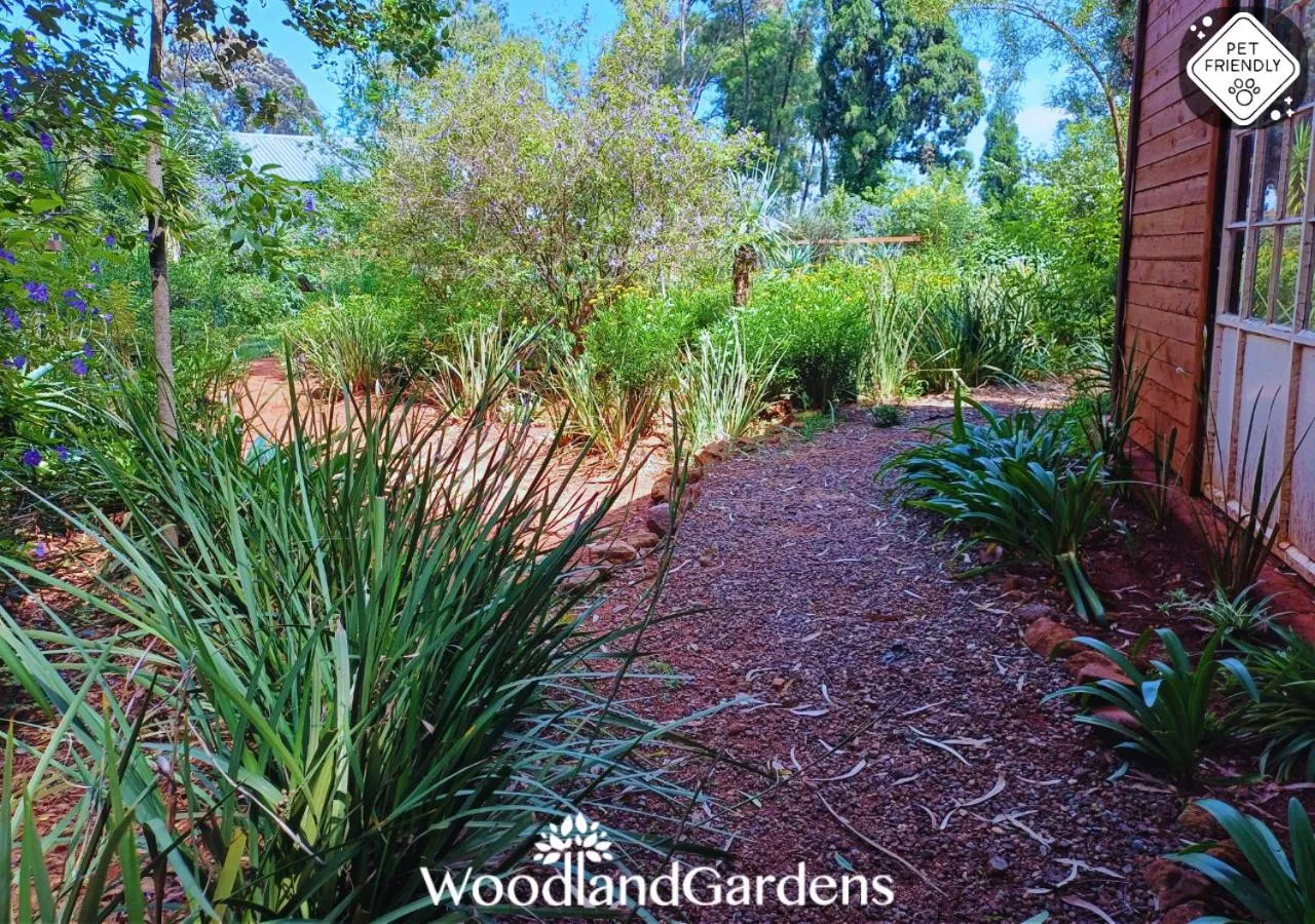Garden in Woodland Gardens Self catering Pet Friendly Lodge