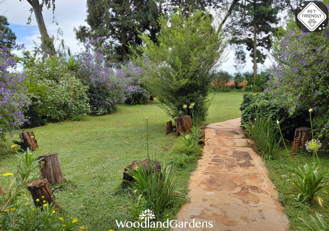 Garden in Woodland Gardens Self catering Pet Friendly Lodge