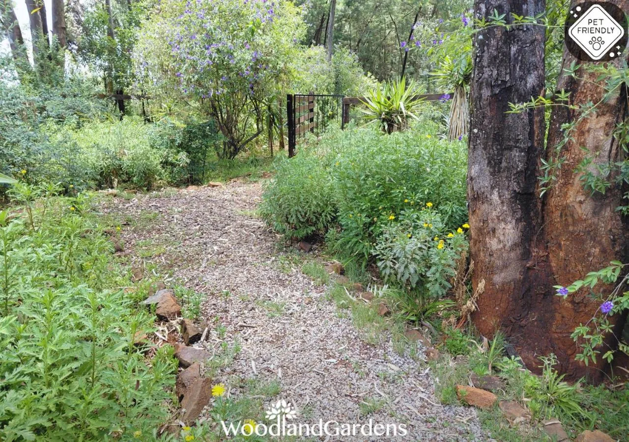 Garden in Woodland Gardens Self catering Pet Friendly Lodge