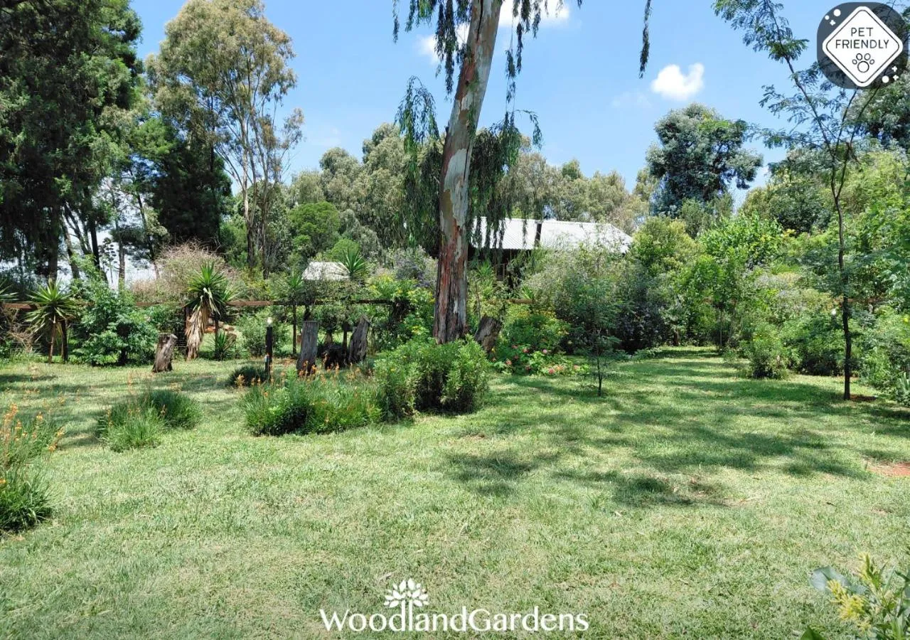 Garden in Woodland Gardens Self catering Pet Friendly Lodge