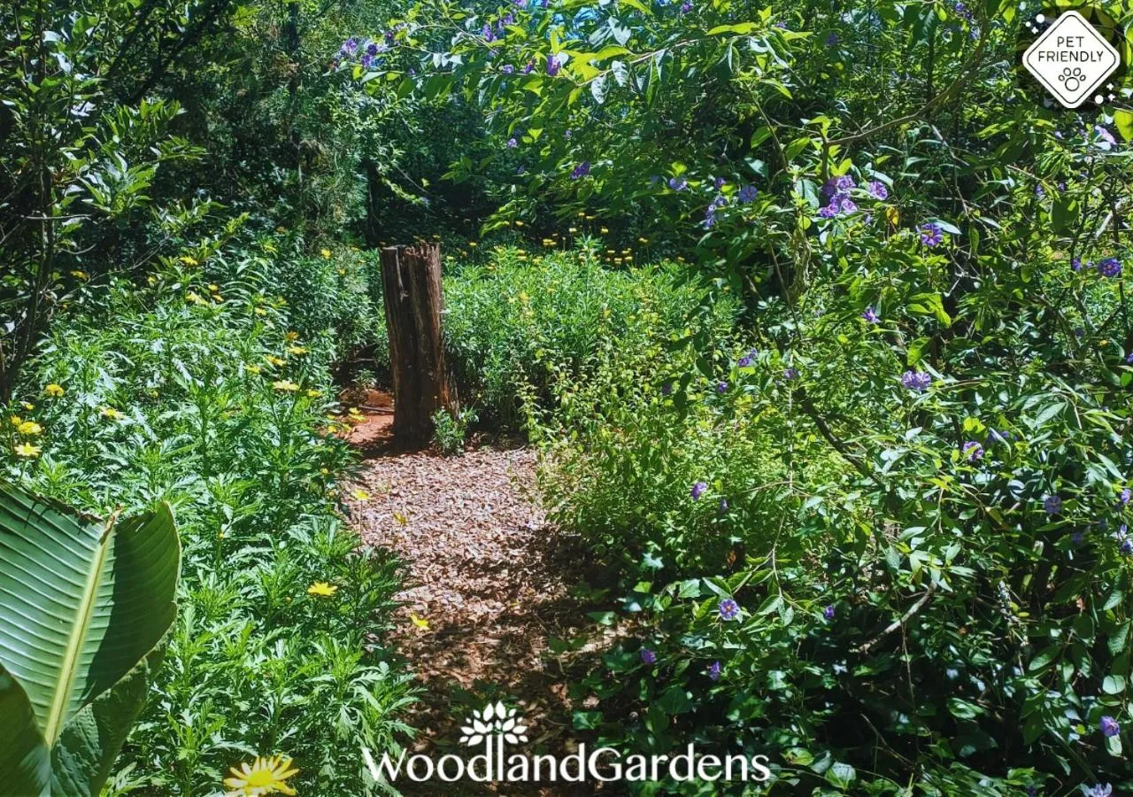 Garden in Woodland Gardens Self catering Pet Friendly Lodge