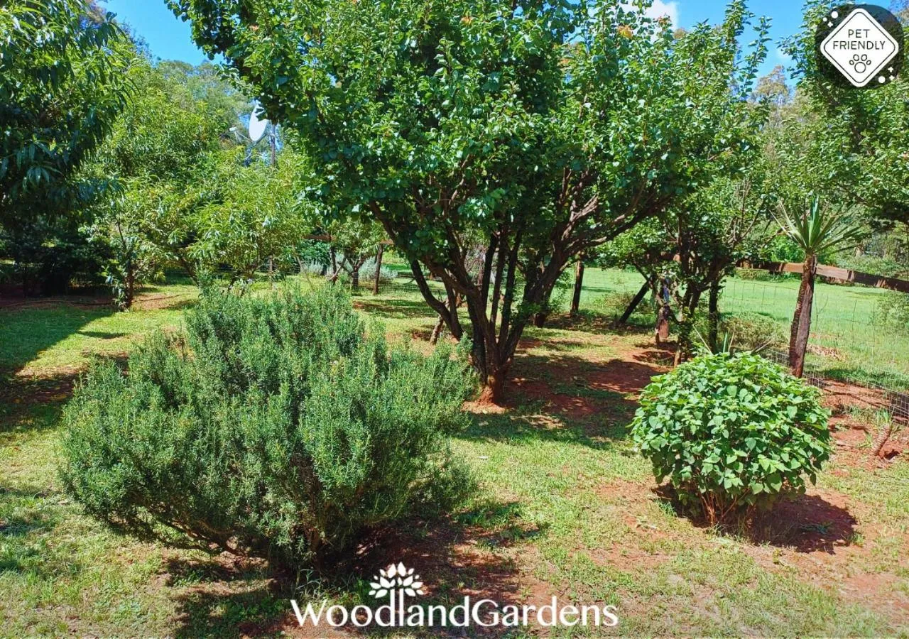 Garden in Woodland Gardens Self catering Pet Friendly Lodge