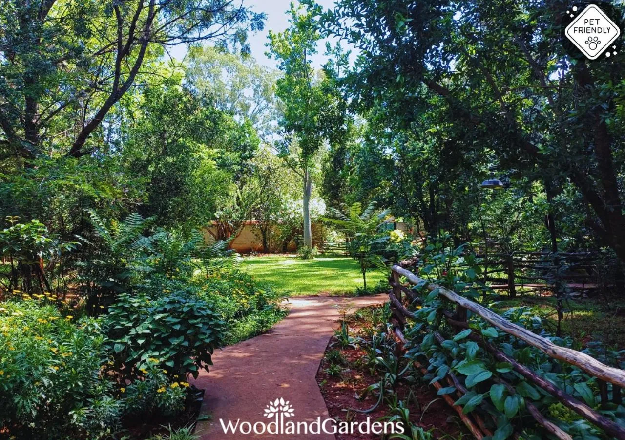 Garden in Woodland Gardens Self catering Pet Friendly Lodge