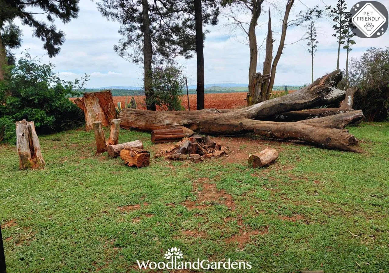 Garden view in Woodland Gardens Self catering Pet Friendly Lodge