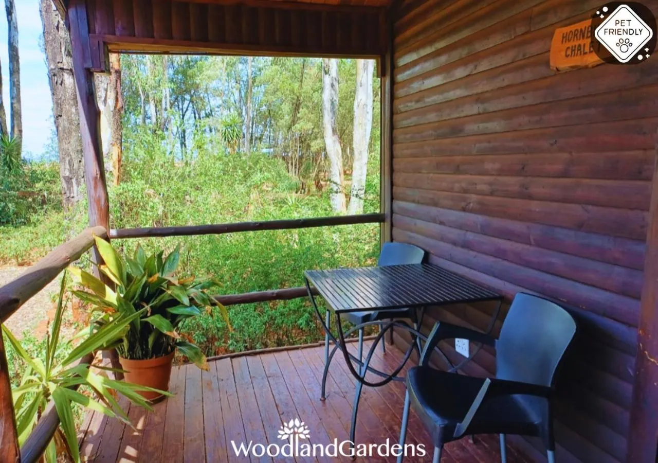 Balcony/Terrace in Woodland Gardens Self catering Pet Friendly Lodge