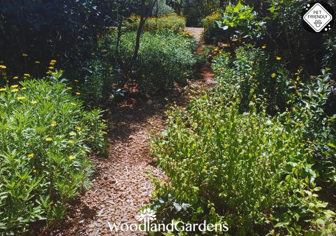 Garden in Woodland Gardens Self catering Pet Friendly Lodge