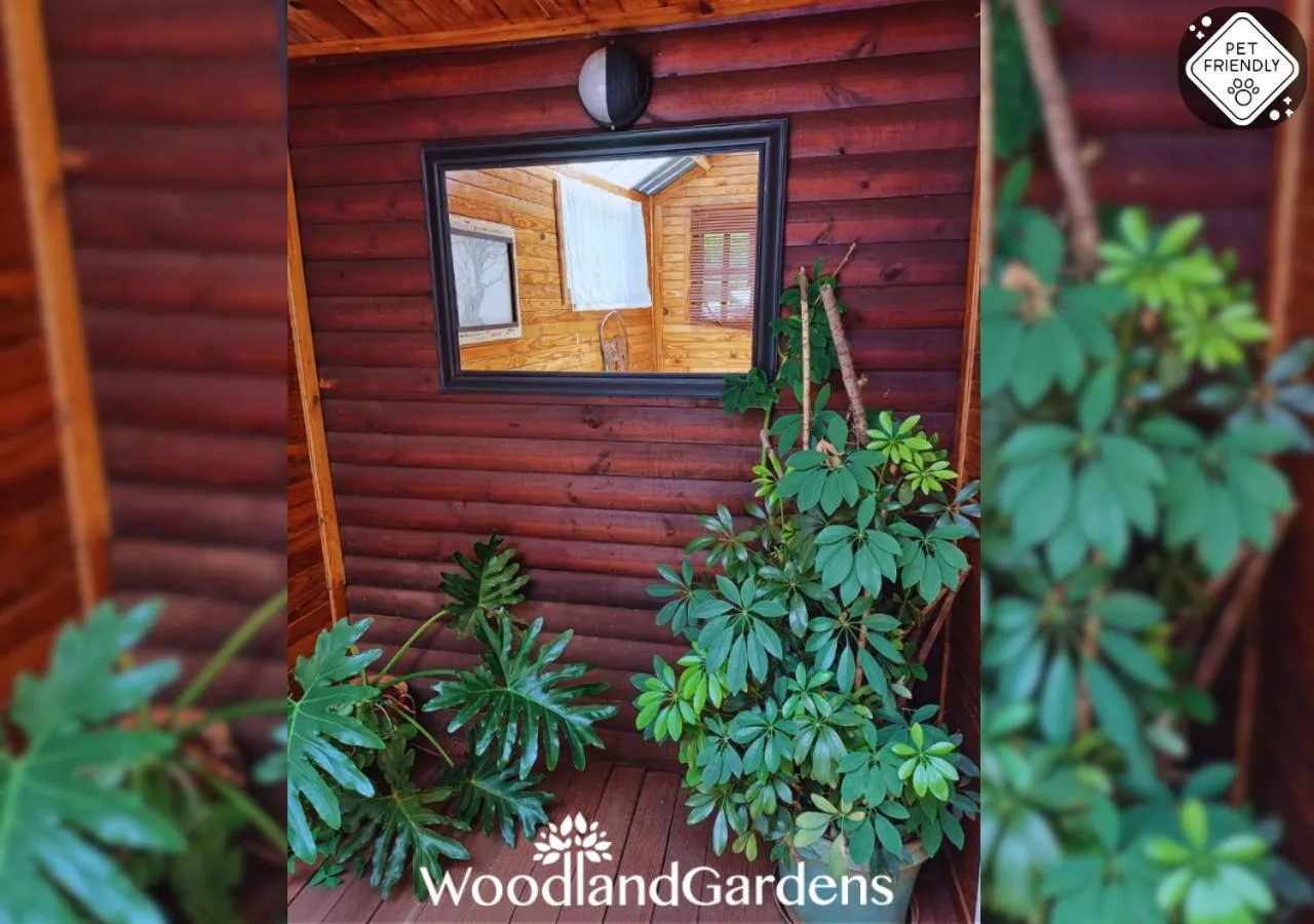 Seating area in Woodland Gardens Self catering Pet Friendly Lodge