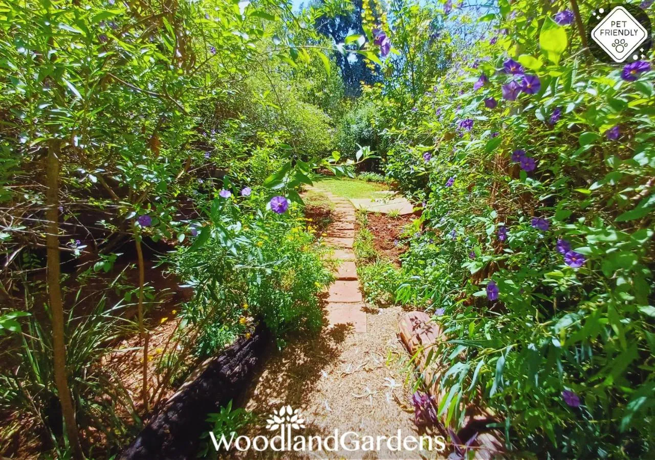Garden in Woodland Gardens Self catering Pet Friendly Lodge