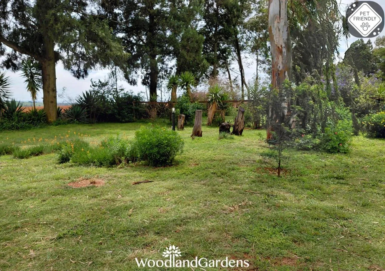 Garden in Woodland Gardens Self catering Pet Friendly Lodge