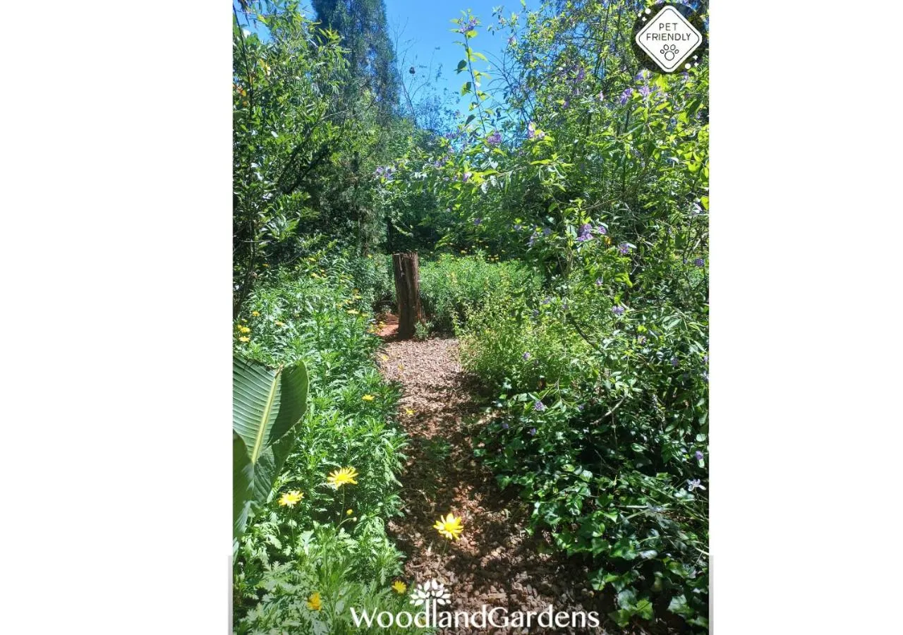 Garden in Woodland Gardens Self catering Pet Friendly Lodge
