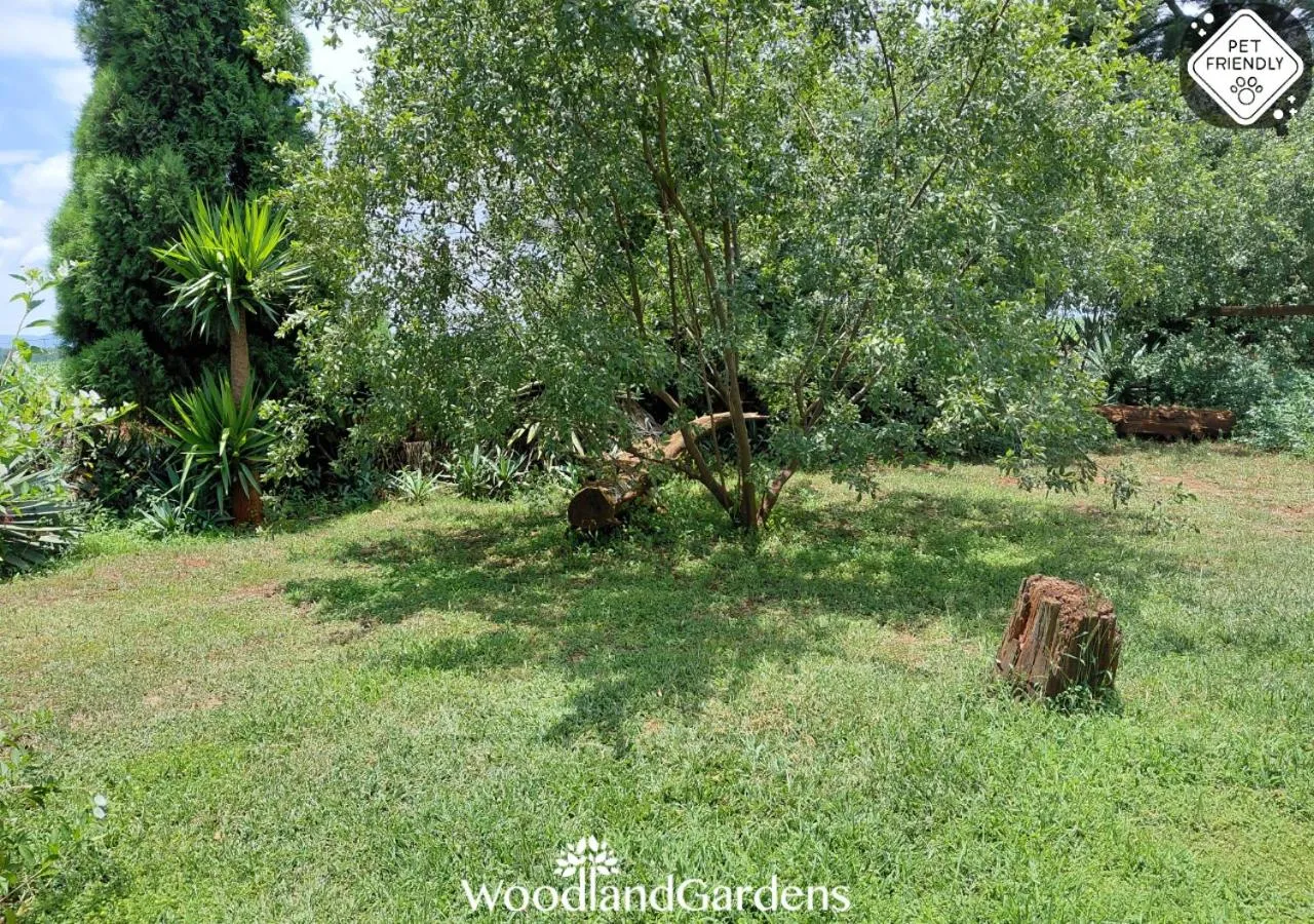 Garden in Woodland Gardens Self catering Pet Friendly Lodge
