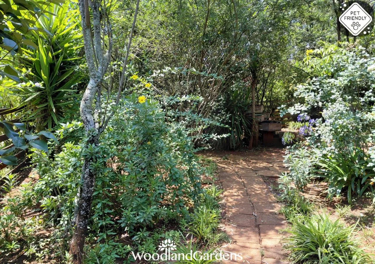 Garden in Woodland Gardens Self catering Pet Friendly Lodge