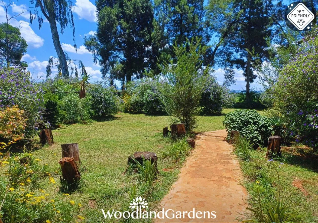 Garden in Woodland Gardens Self catering Pet Friendly Lodge