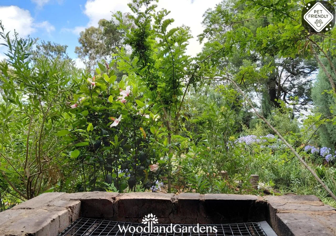 BBQ facilities in Woodland Gardens Self catering Pet Friendly Lodge