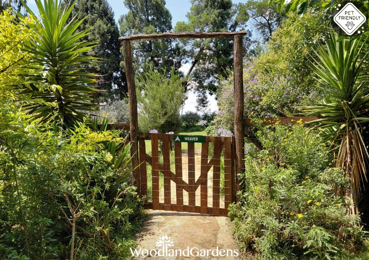 Facade/entrance in Woodland Gardens Self catering Pet Friendly Lodge