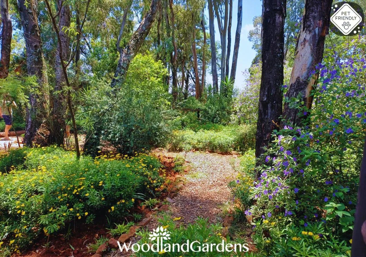 Garden in Woodland Gardens Self catering Pet Friendly Lodge