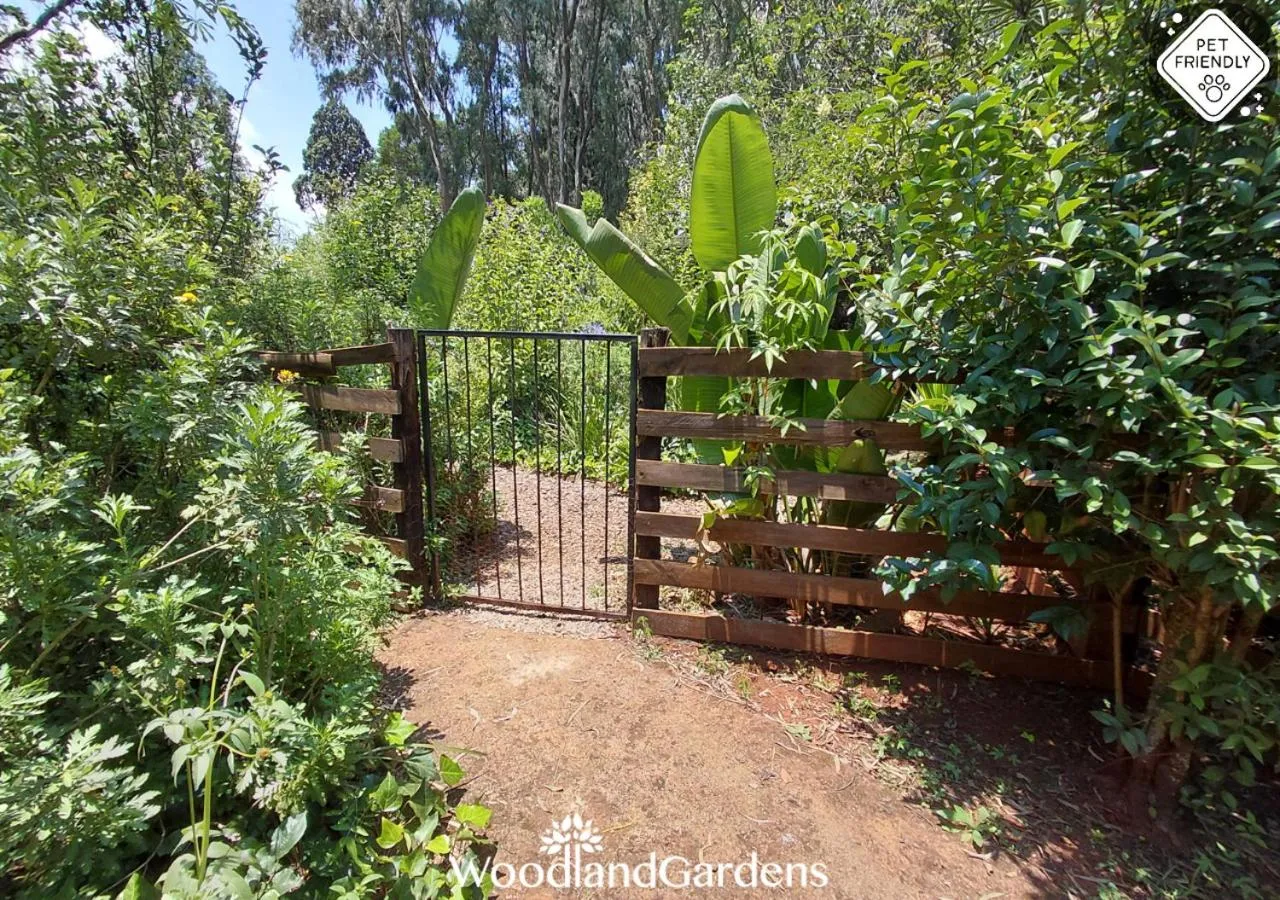 Facade/entrance in Woodland Gardens Self catering Pet Friendly Lodge
