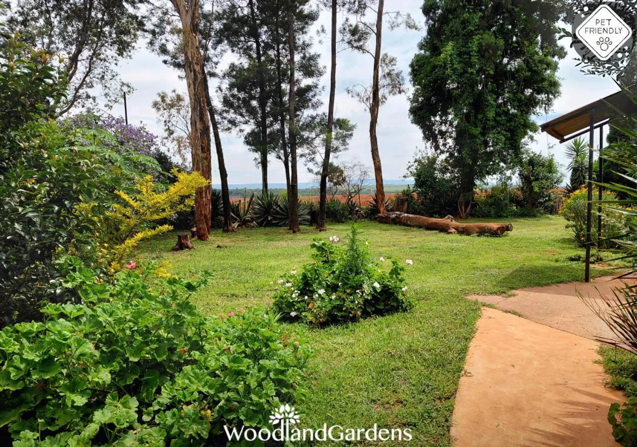 Garden in Woodland Gardens Self catering Pet Friendly Lodge