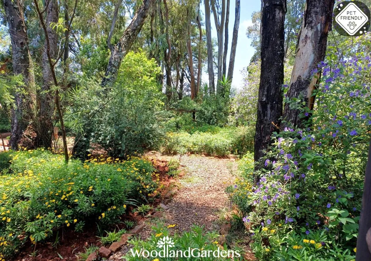 Garden in Woodland Gardens Self catering Pet Friendly Lodge