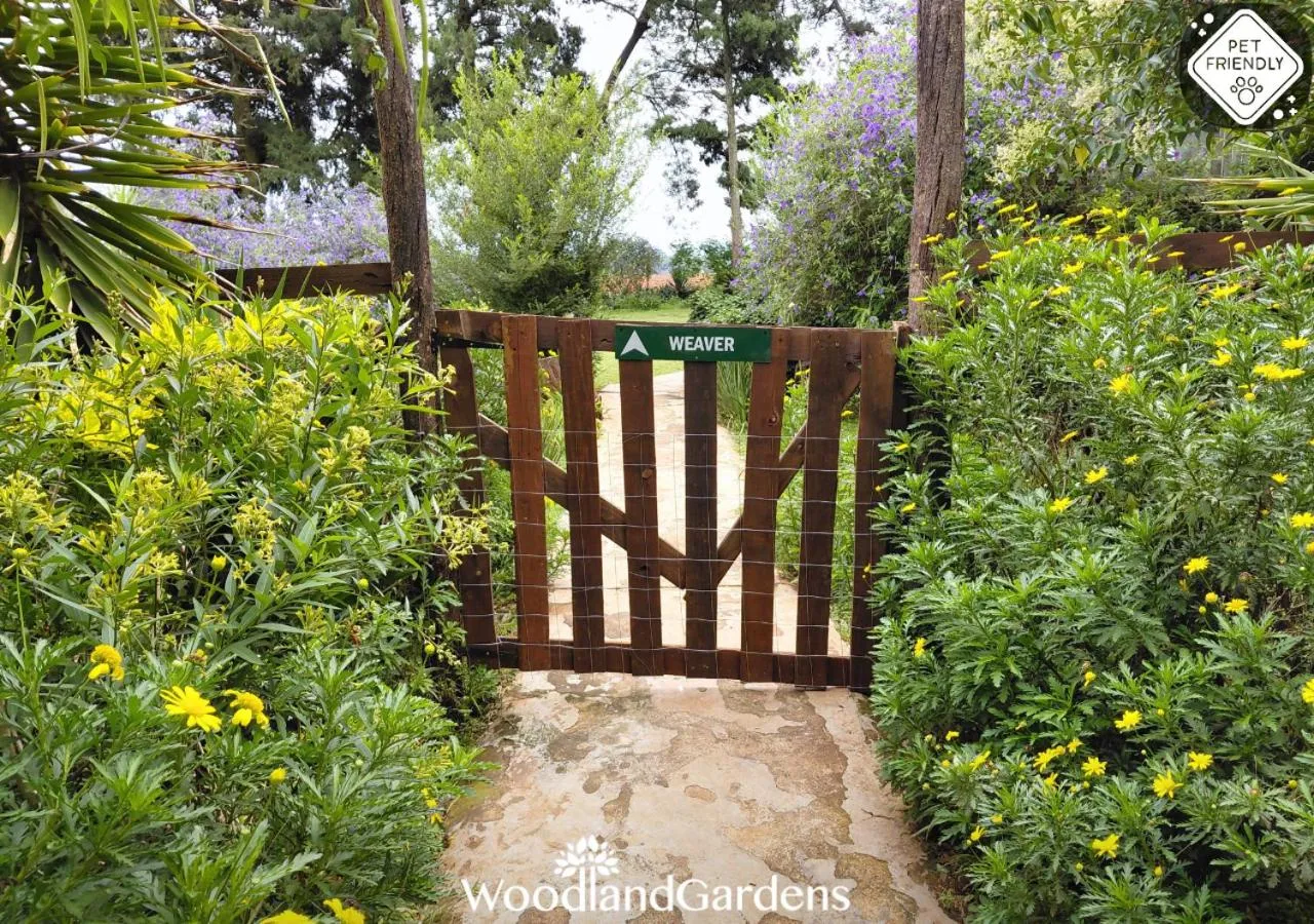 Garden in Woodland Gardens Self catering Pet Friendly Lodge