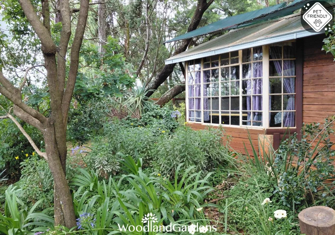 Property building in Woodland Gardens Self catering Pet Friendly Lodge
