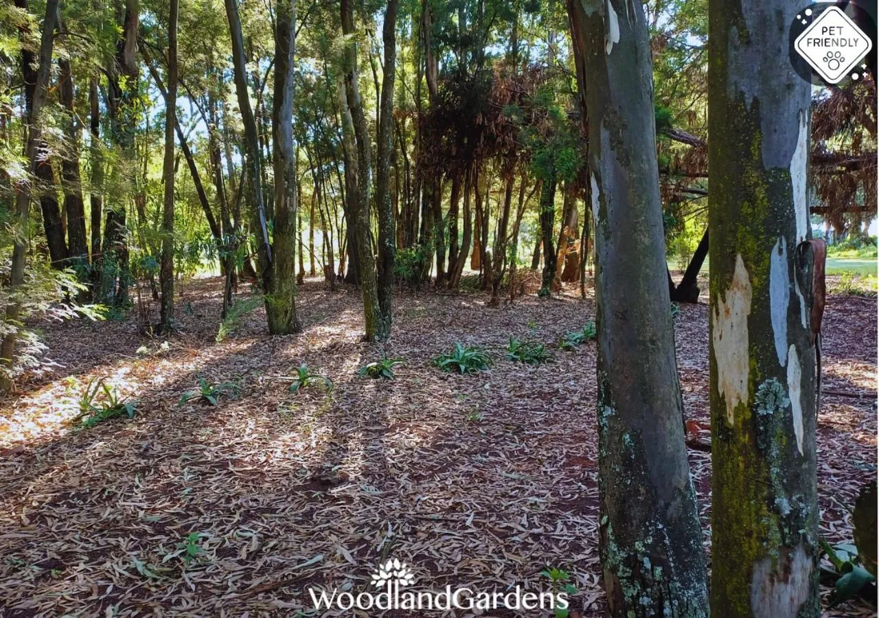 Garden in Woodland Gardens Self catering Pet Friendly Lodge