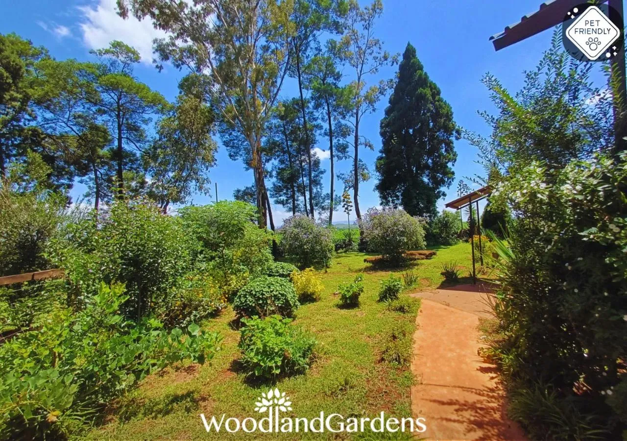 Garden in Woodland Gardens Self catering Pet Friendly Lodge