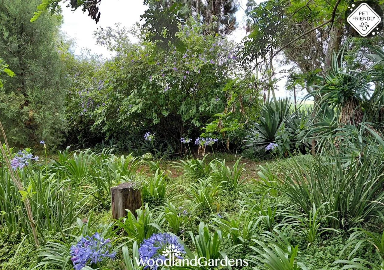Garden in Woodland Gardens Self catering Pet Friendly Lodge