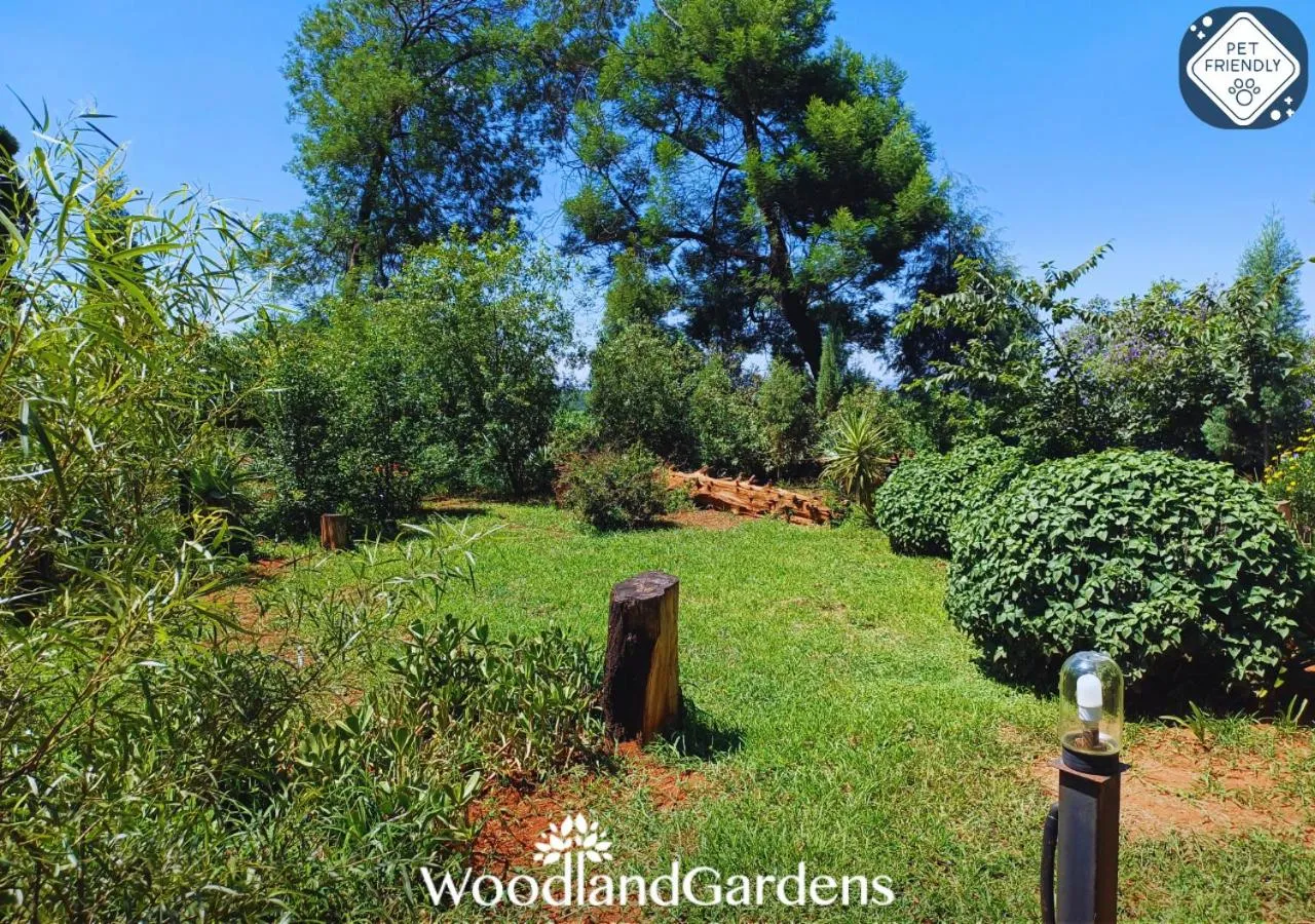 Garden in Woodland Gardens Self catering Pet Friendly Lodge