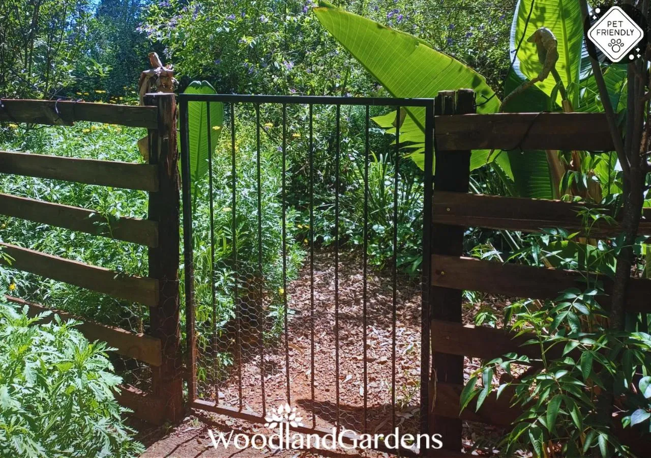 Garden in Woodland Gardens Self catering Pet Friendly Lodge