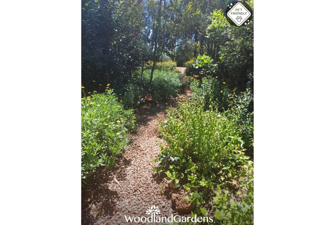 Garden in Woodland Gardens Self catering Pet Friendly Lodge
