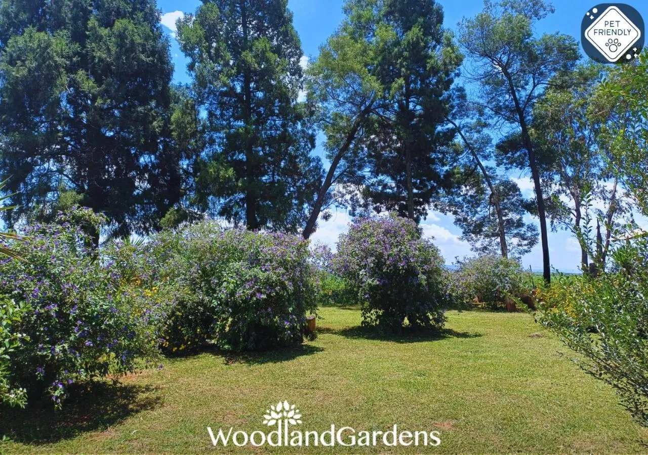 Garden in Woodland Gardens Self catering Pet Friendly Lodge