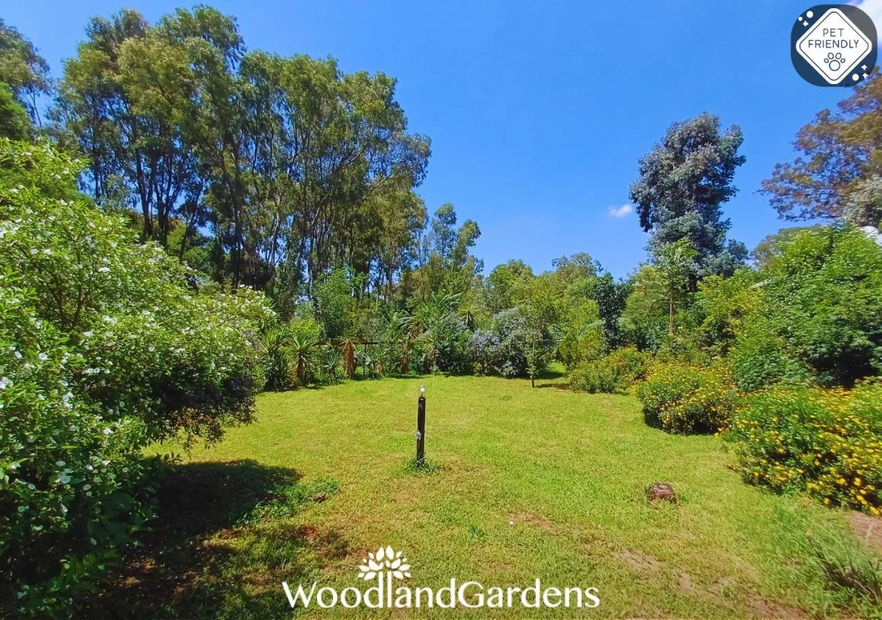 Garden in Woodland Gardens Self catering Pet Friendly Lodge