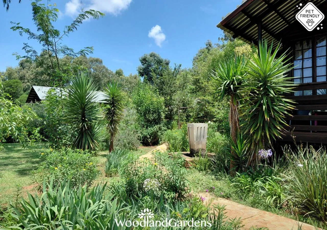 Garden in Woodland Gardens Self catering Pet Friendly Lodge