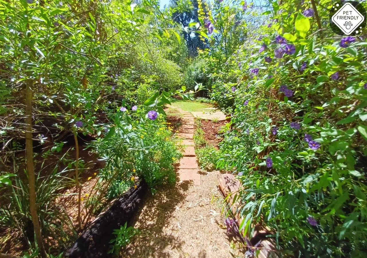 Garden in Woodland Gardens Self catering Pet Friendly Lodge