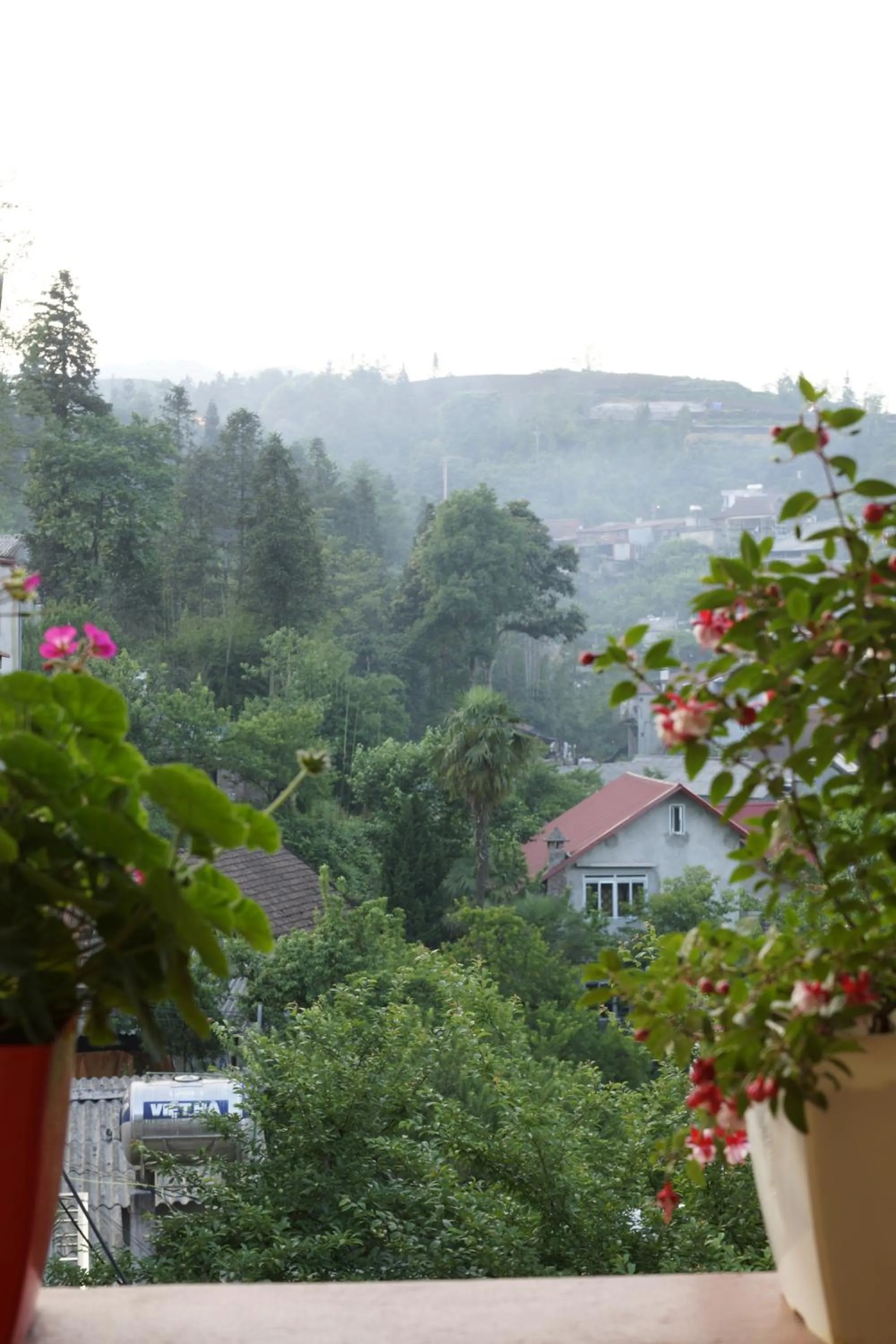 Natural landscape in Sapa Local House