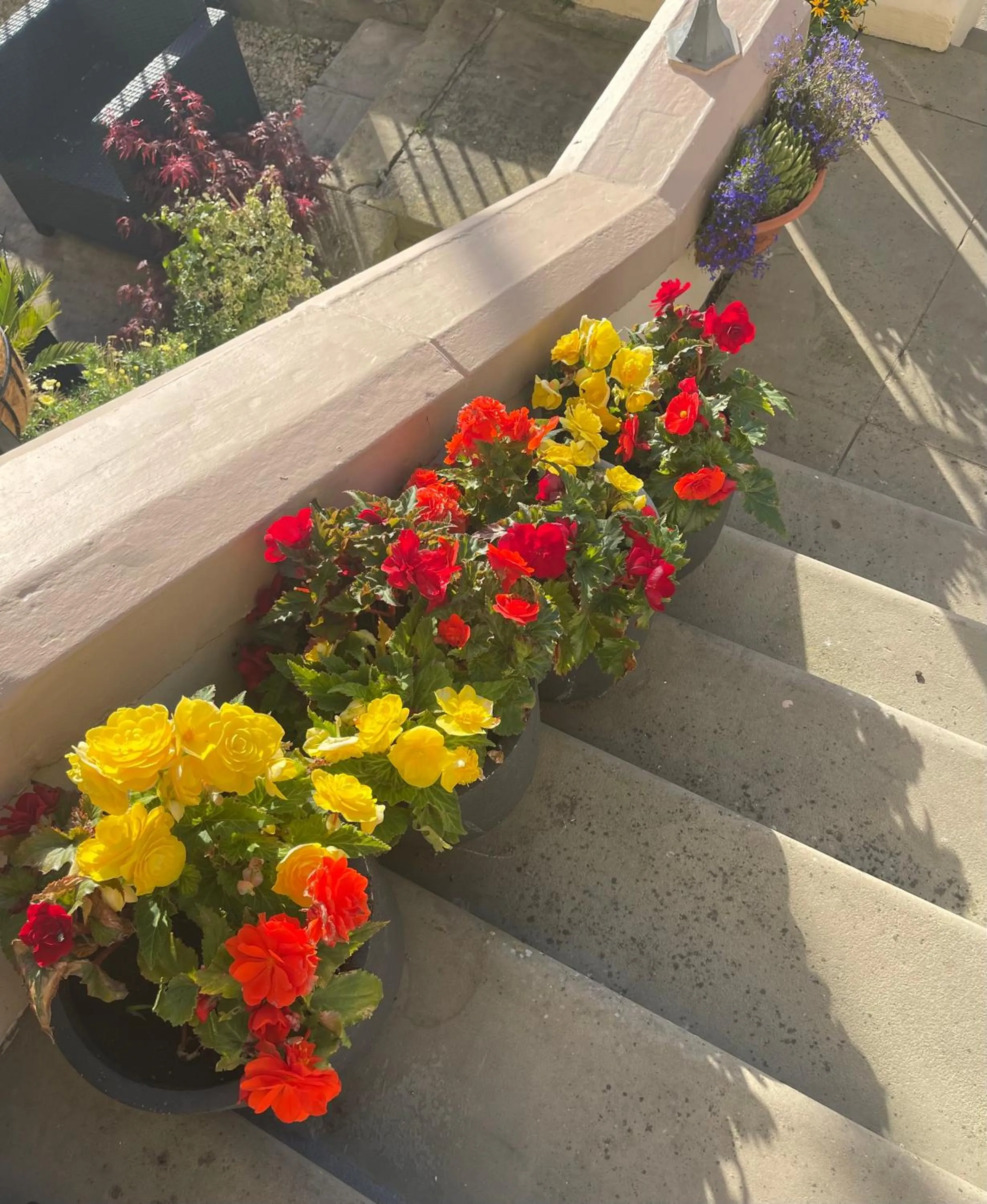 Property building in Milverton House