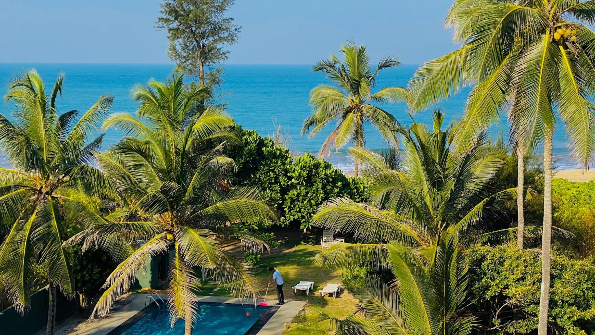 Garden view in Ziegler Cottage
