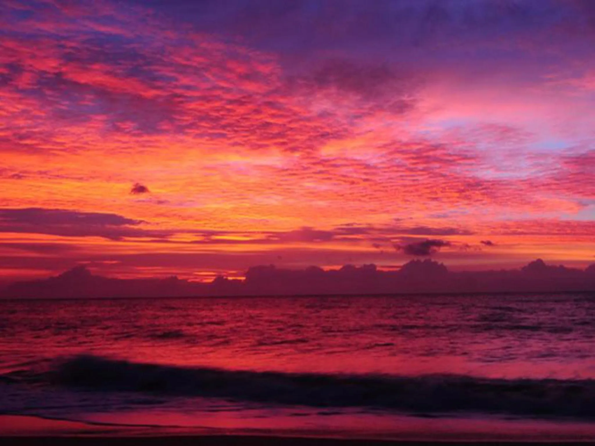 Natural landscape in Ziegler Cottage