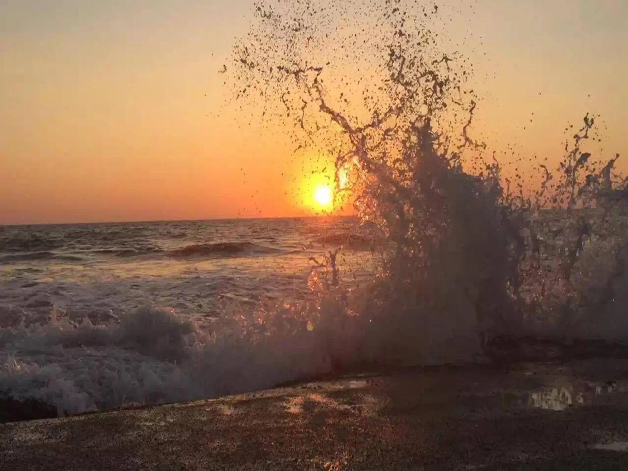 Property building in Ziegler Cottage