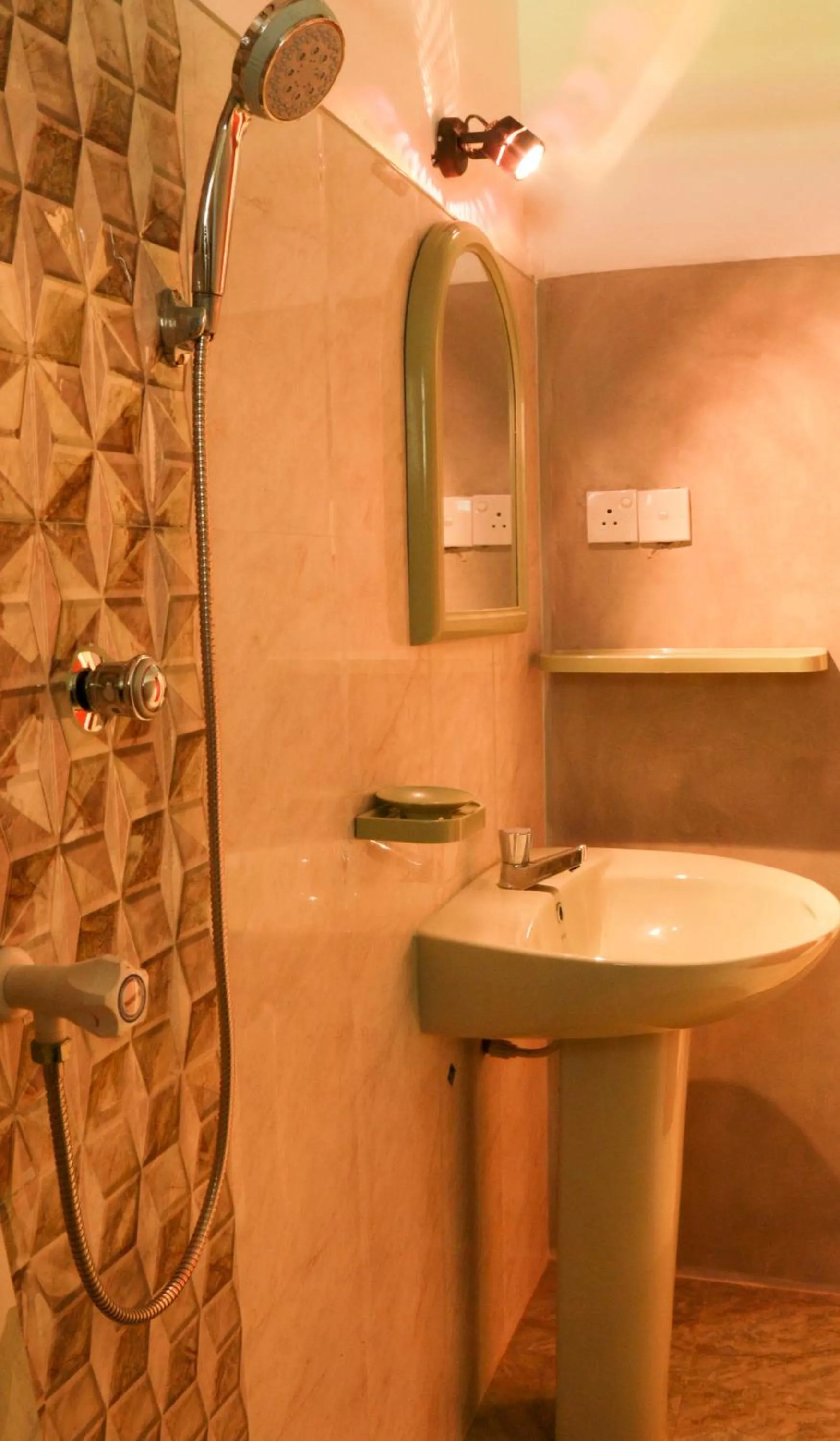 Toilet in Ziegler Cottage