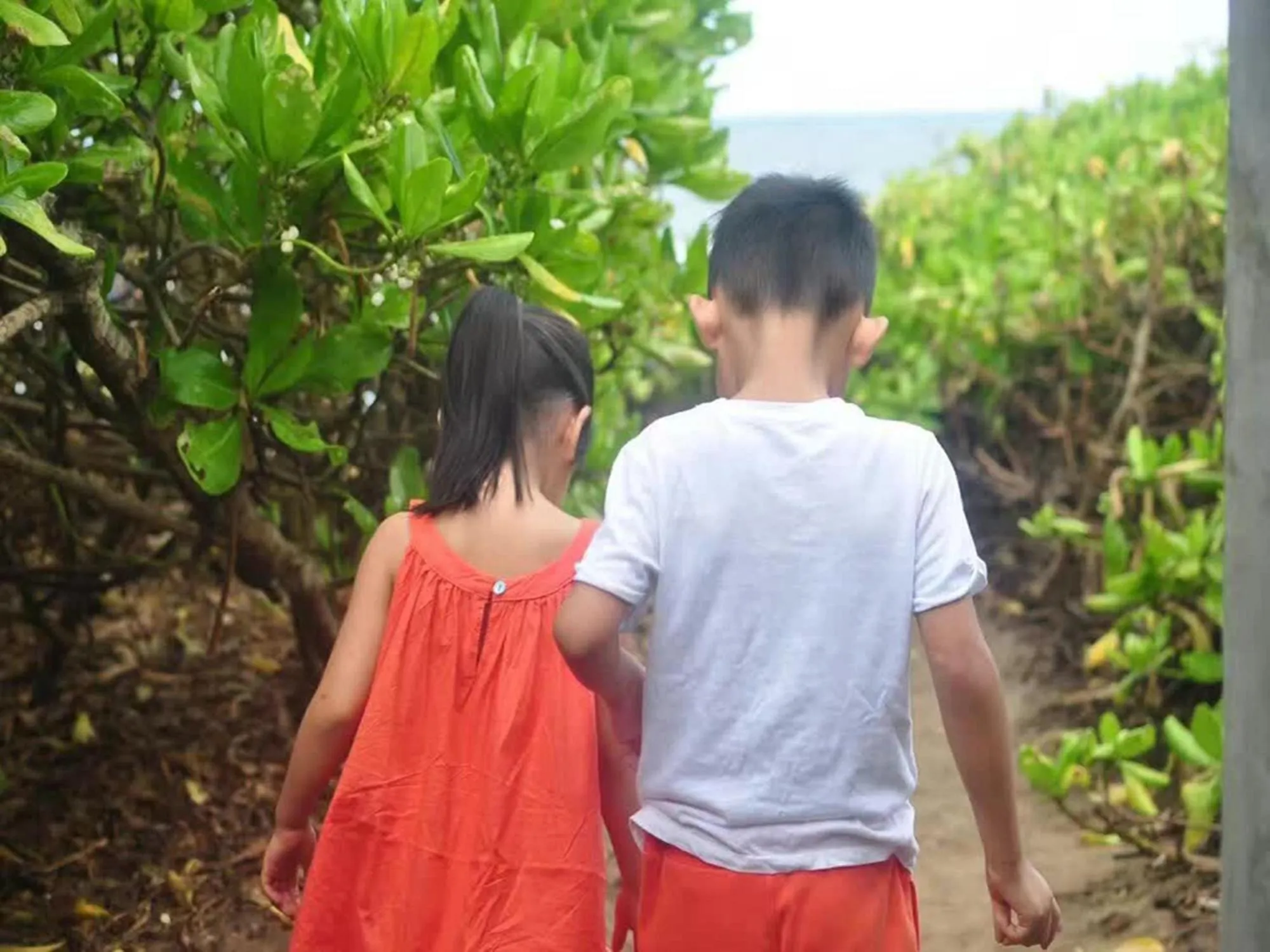 Property building in Ziegler Cottage