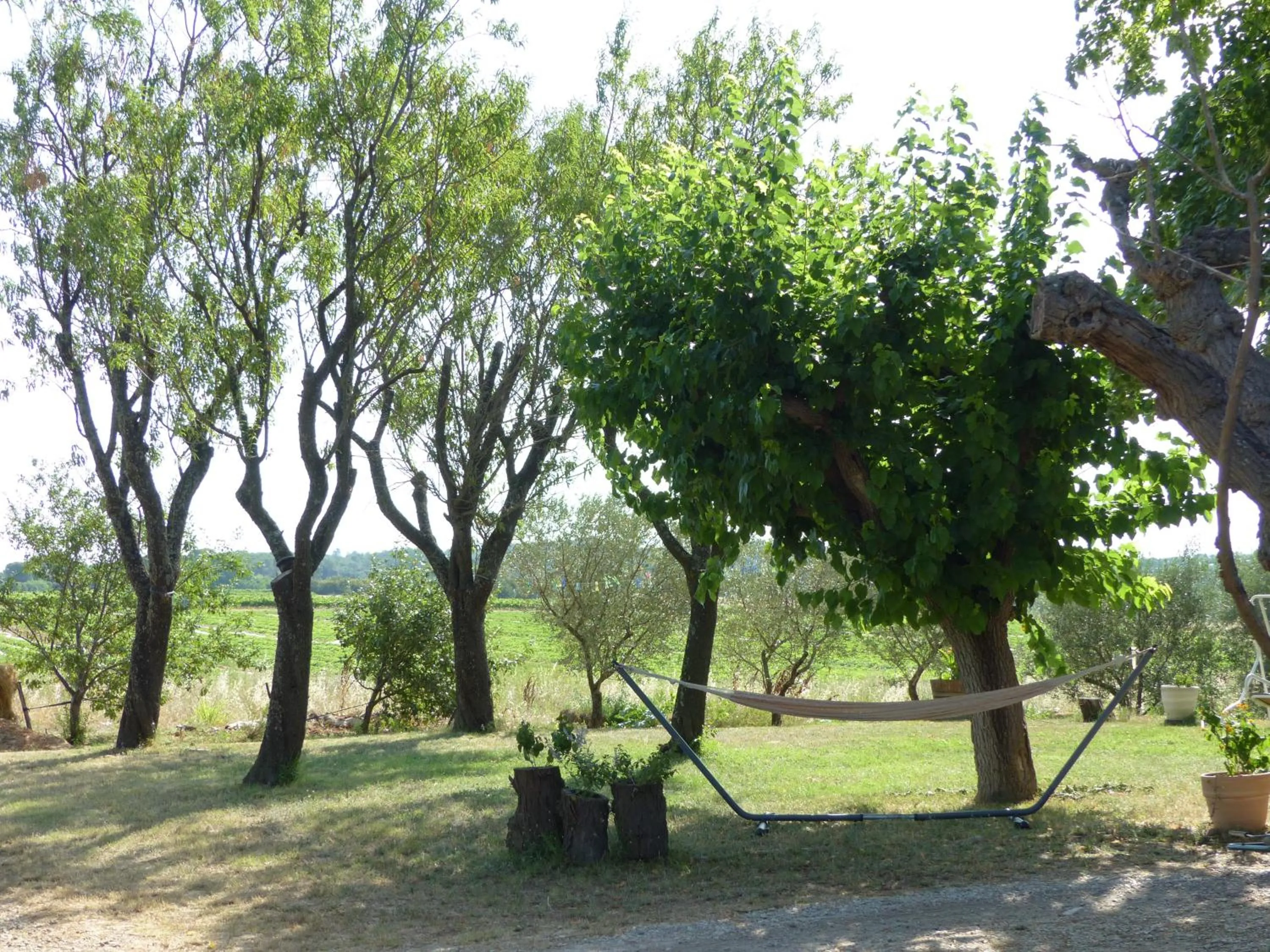 Garden view in Mas du Crès