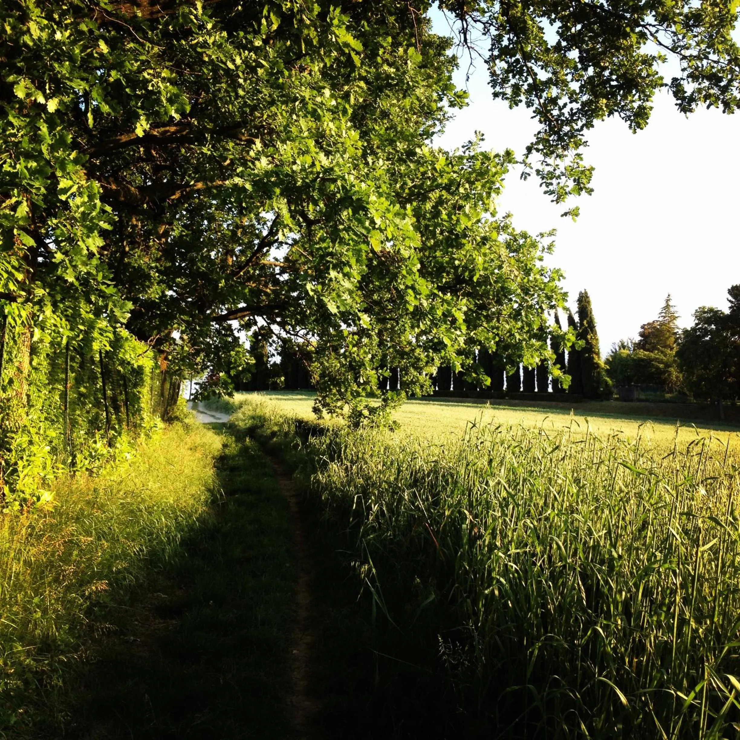 Nearby landmark in B&B Puntodivista