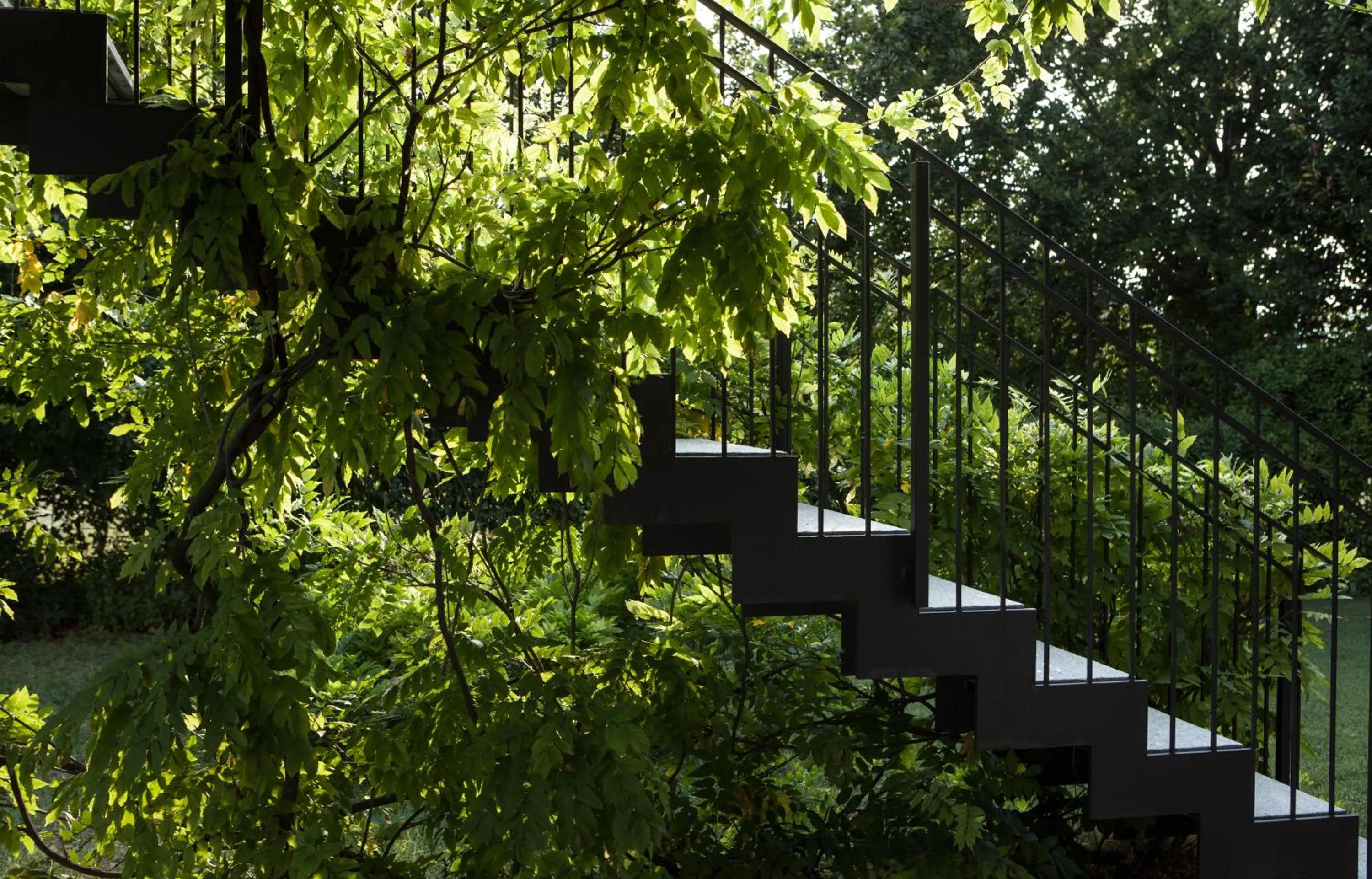 Balcony/Terrace in B&B Puntodivista