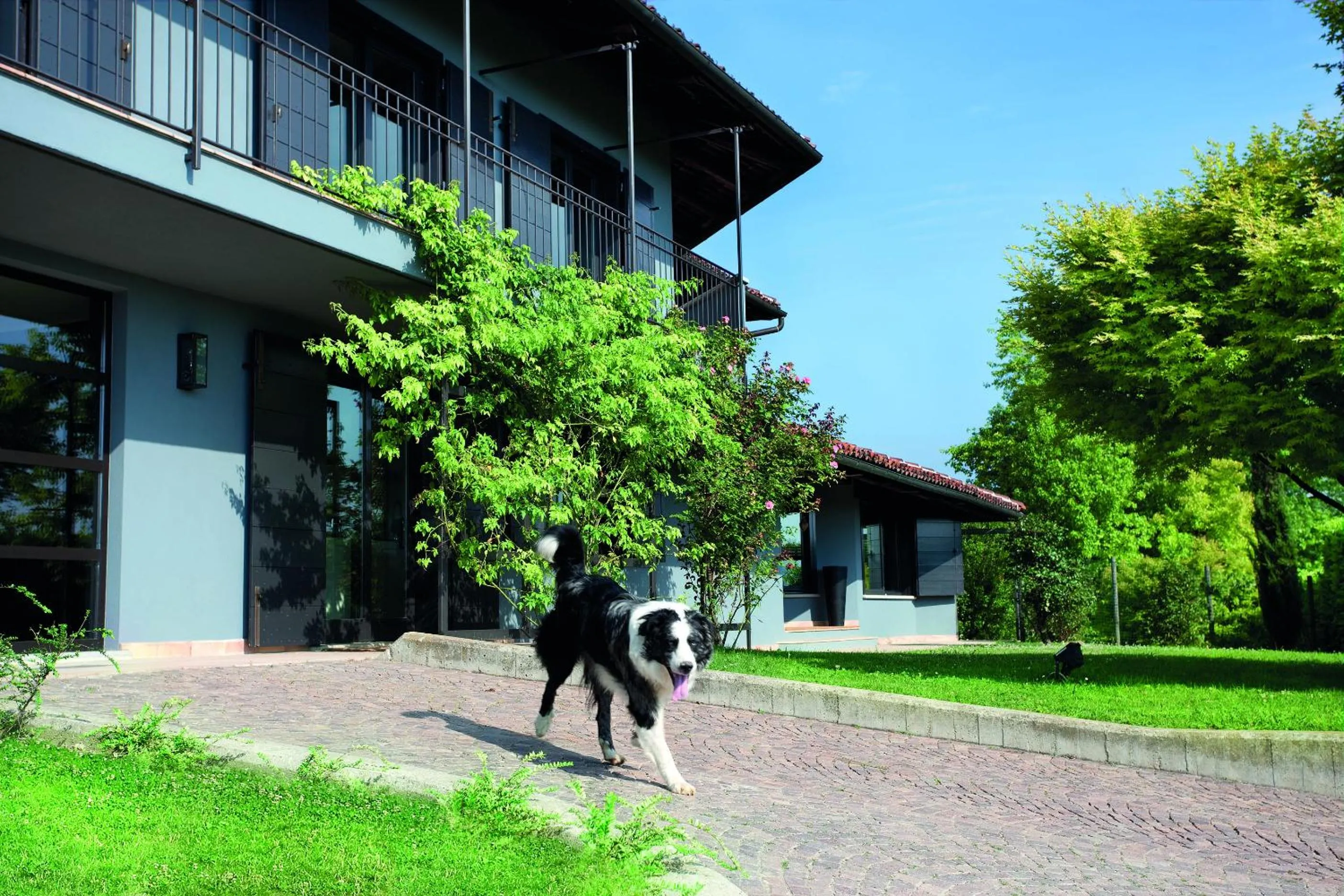 Pets in B&B Puntodivista